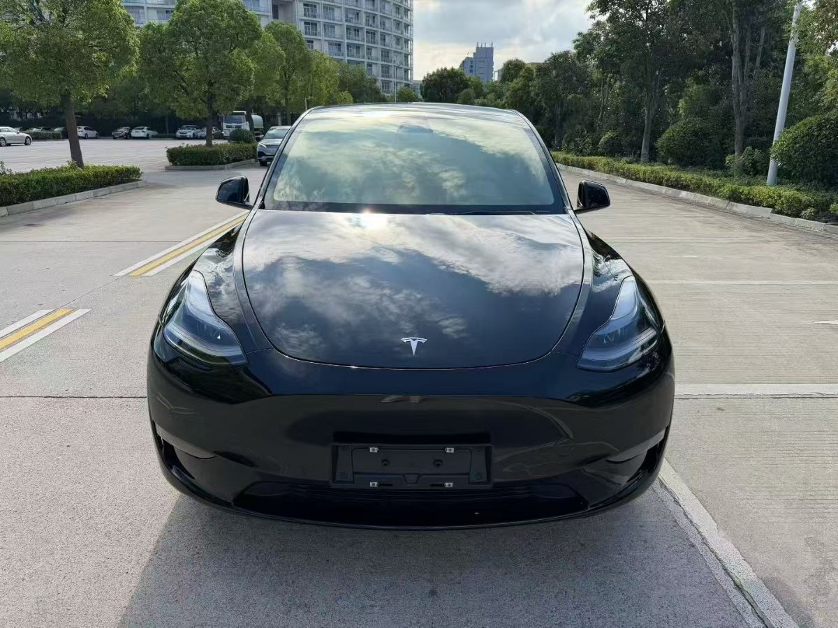 Tesla Model Y 2023 #2 Tesla Model Y 2023 car image #2