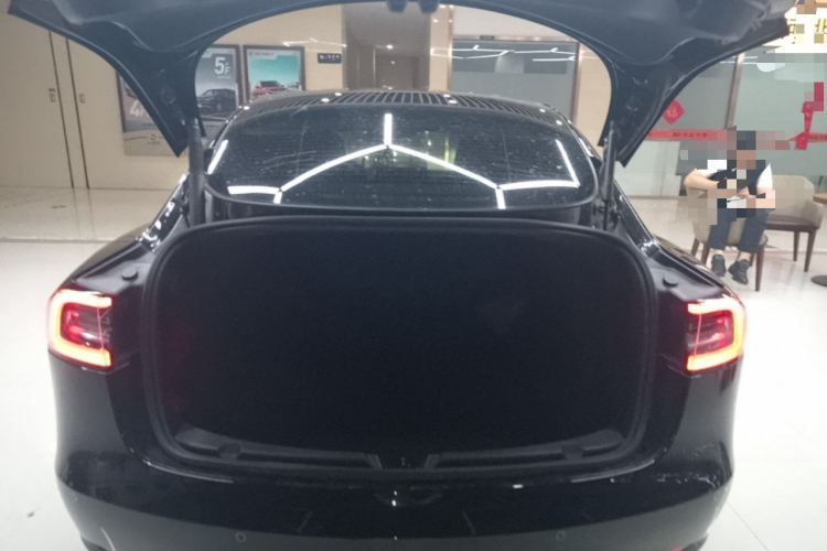 Tesla Model 3 2021 #21 Tesla Model 3 2021 car image #21