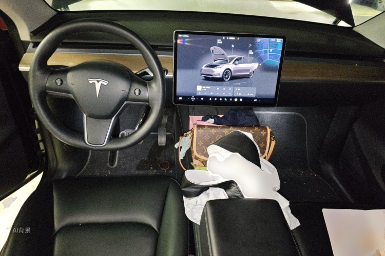 Tesla Model Y 2022 car image #11