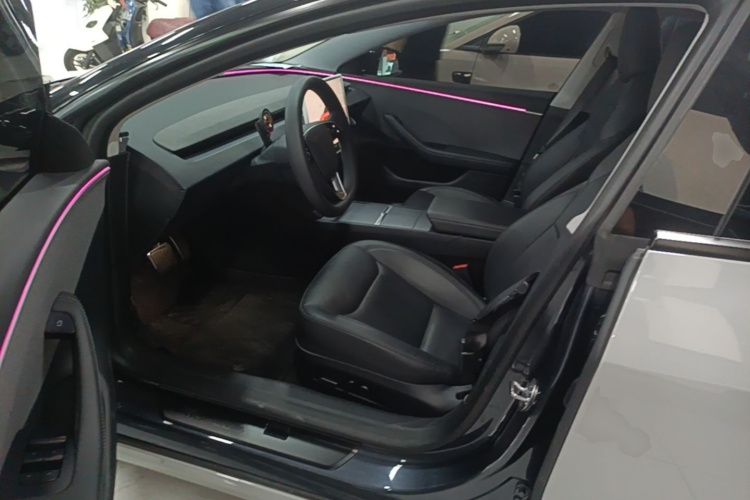 Tesla Model 3 2024 car image #15
