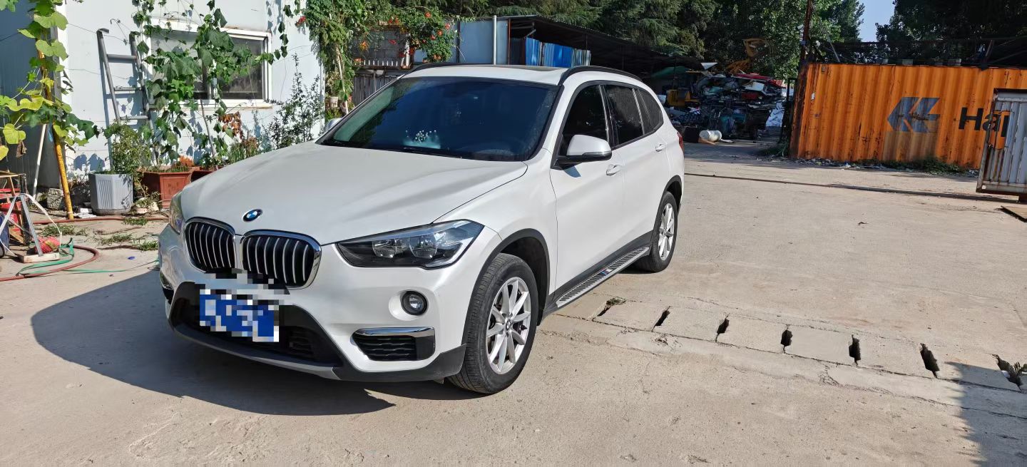 BMW X1 2019 car image 