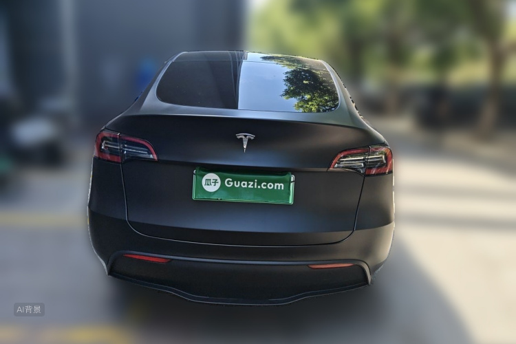 Tesla Model Y 2023 car image #6