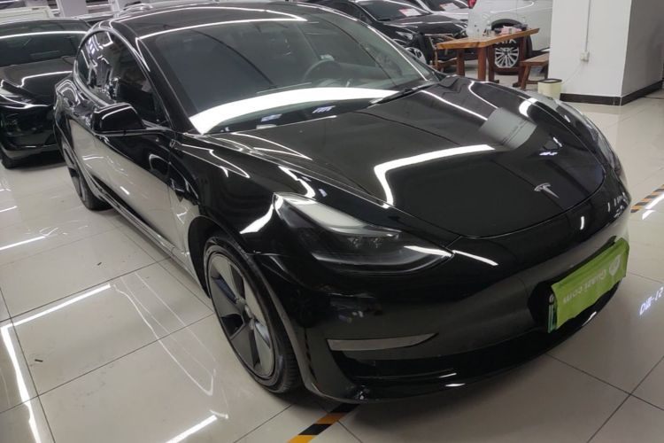 Tesla Model 3 2021 car image #6