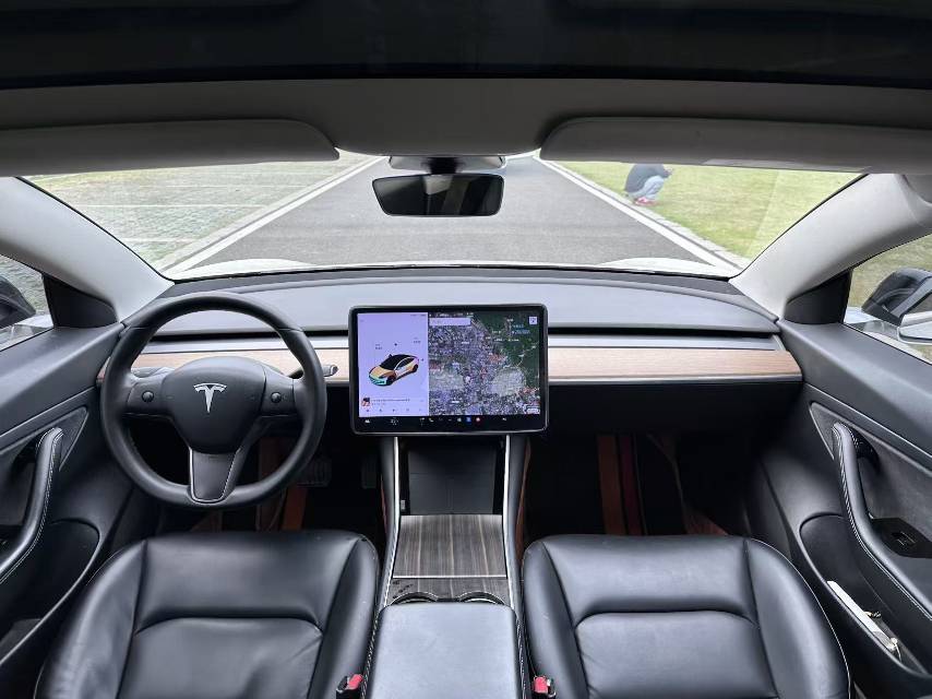 Tesla Model 3 2020 car image #8