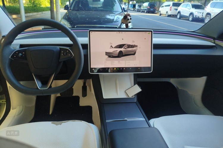 Tesla Model 3 2024 immagine di auto #11