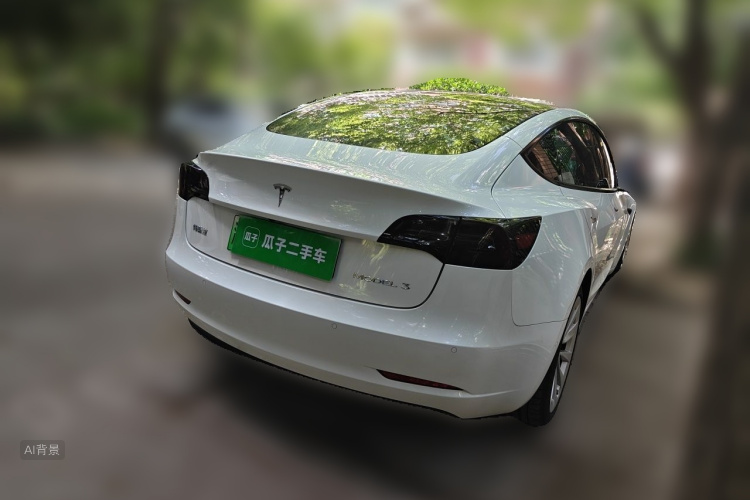 Tesla Model 3 2022 car image #7