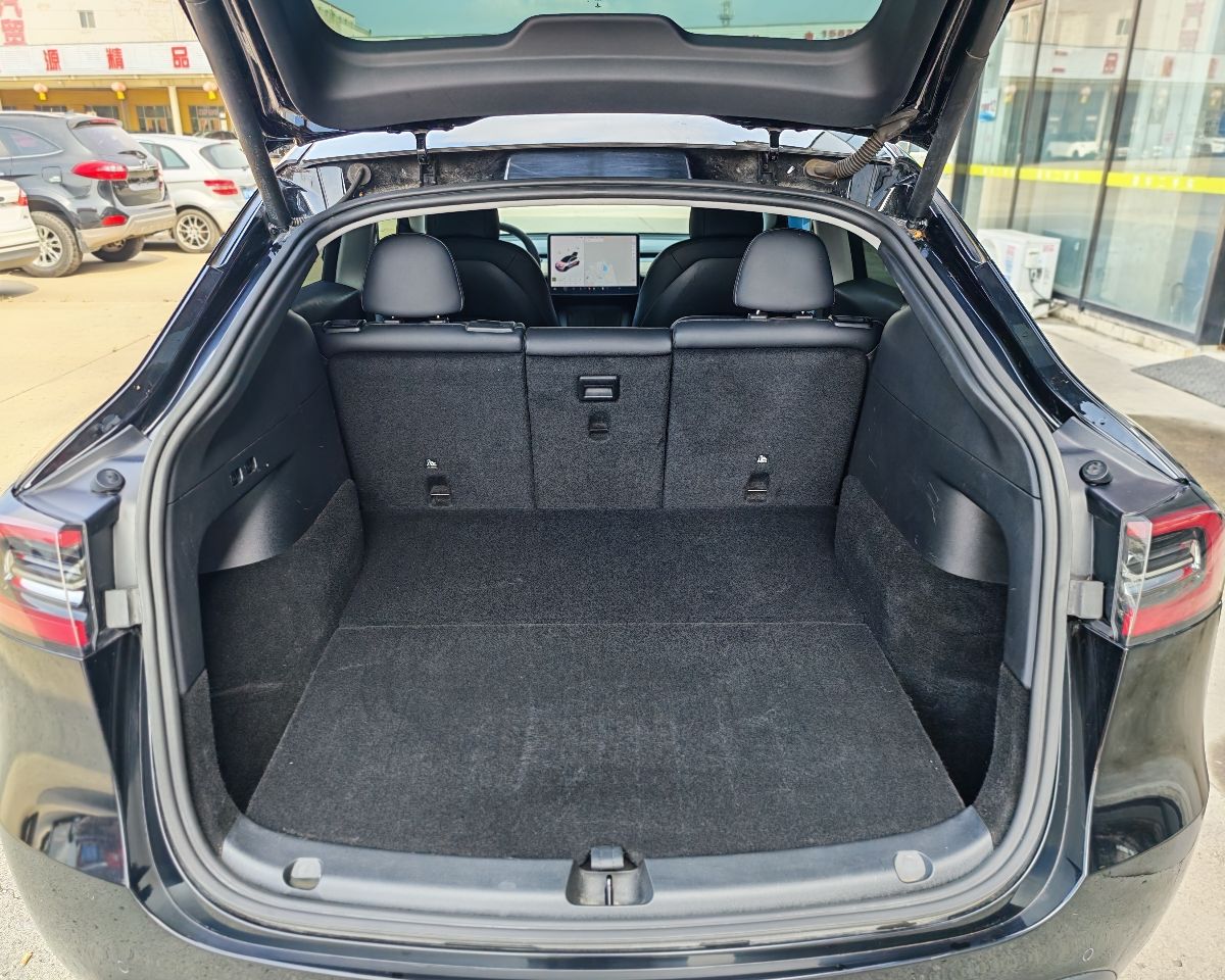 Tesla Model Y 2021 #9 Tesla Model Y 2021 car image #9