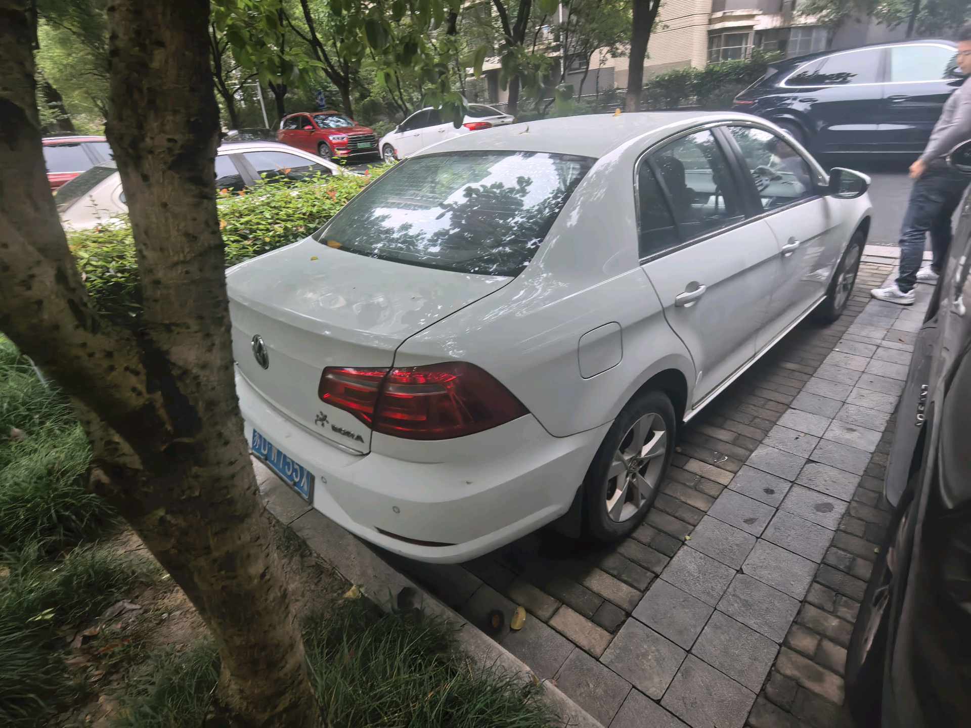Volkswagen Bora 2015 #6 Volkswagen Bora 2015 car image #6