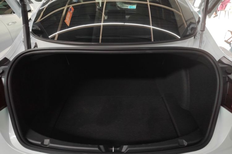 Tesla Model 3 2021 car image #19