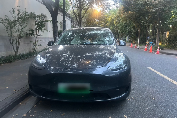 Tesla Model Y 2024 #6 Tesla Model Y 2024 car image #6