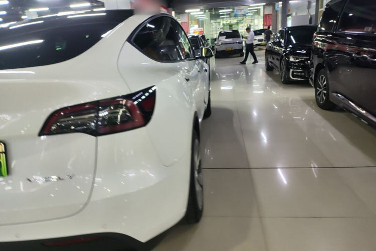 Tesla Model Y 2022 car image #8