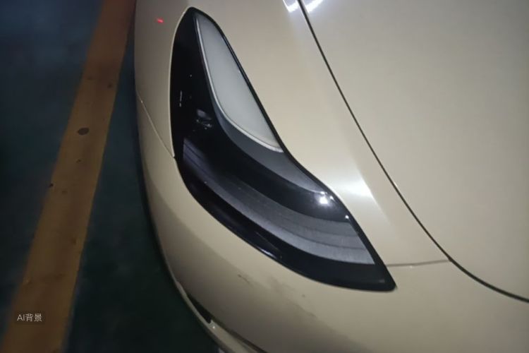 Tesla Model Y 2021 car image #8
