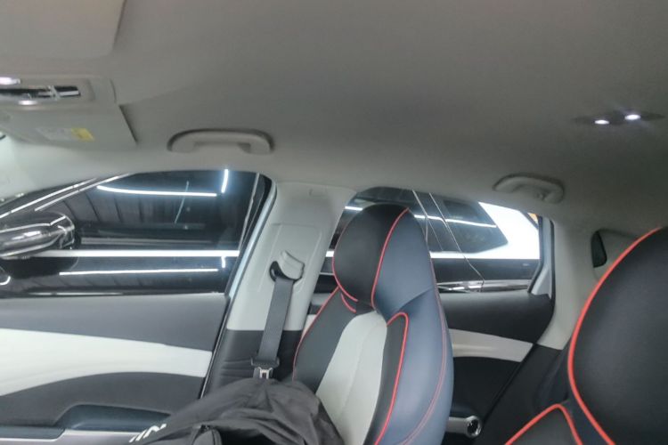 BYD Yuan Plus 2022 car image #18