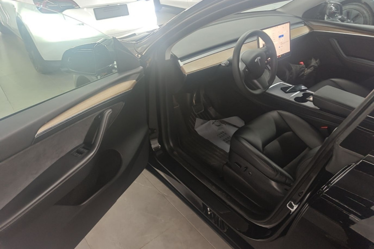 Tesla Model Y 2022 car image #16