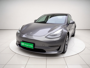 Tesla Model 3 2022 Tesla Model 3 2022 car image