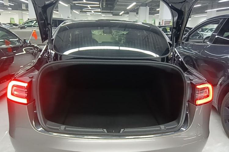Tesla Model 3 2020 #19 Tesla Model 3 2020 car image #19