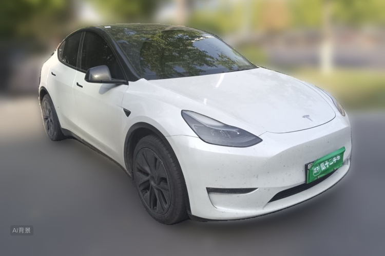 Tesla Model Y 2024 car image #4