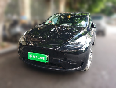 Tesla Model Y 2022 Tesla Model Y 2022 car image