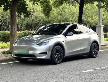 Tesla Model Y 2024 Tesla Model Y 2024 car image