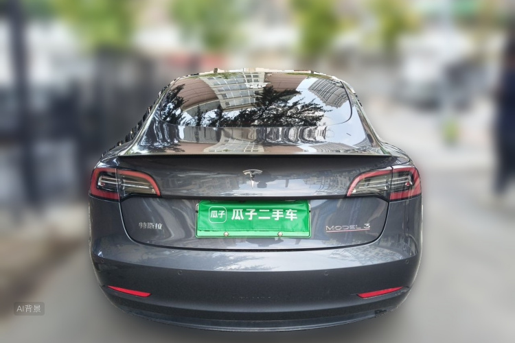 Tesla Model 3 2021 car image #6
