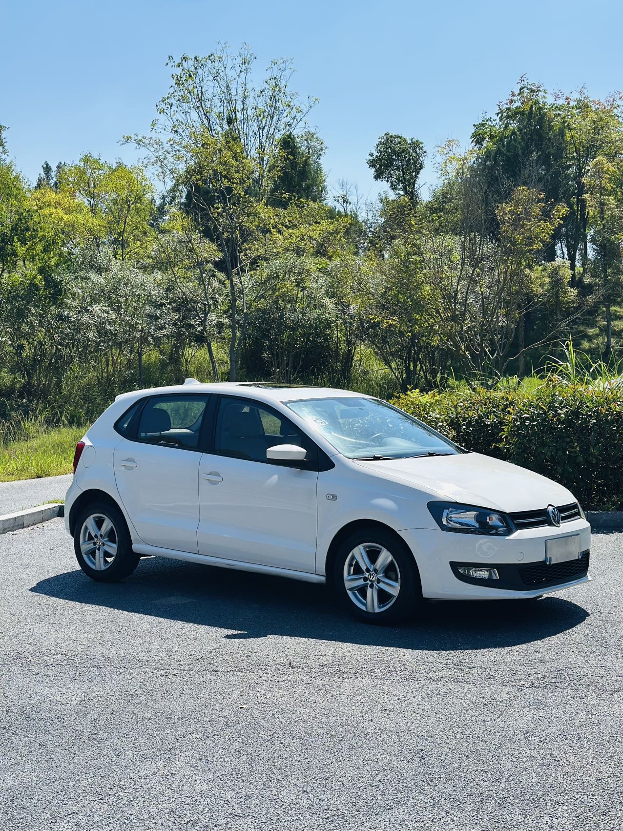 Volkswagen Polo 2011 car image #3