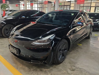 Tesla Model 3 2021 Tesla Model 3 2021 immagine di auto