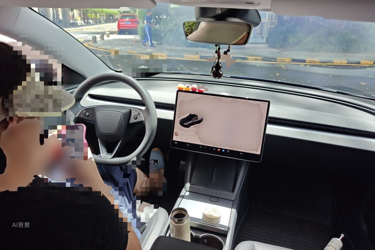 Tesla Model 3 2024 car image #12