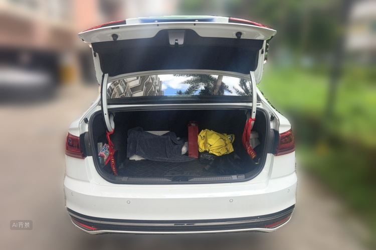 Volkswagen Bora 2024 car image #21