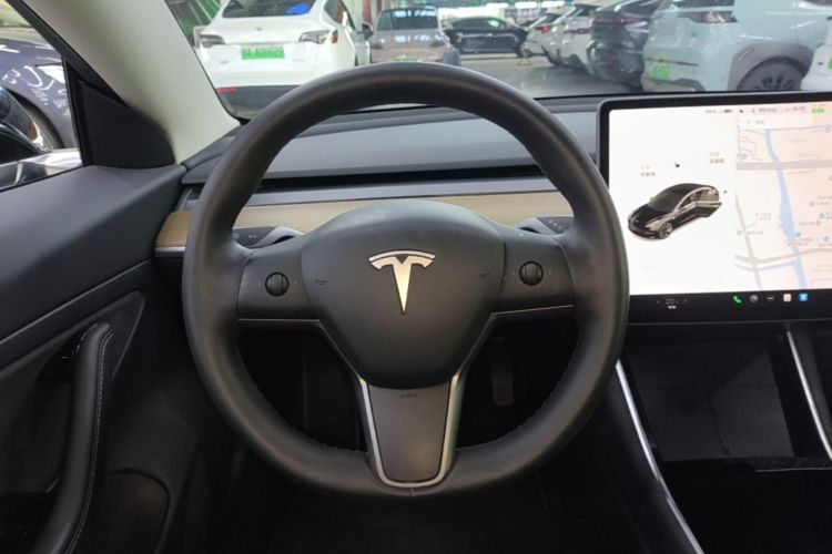 Tesla Model 3 2020 car image #11