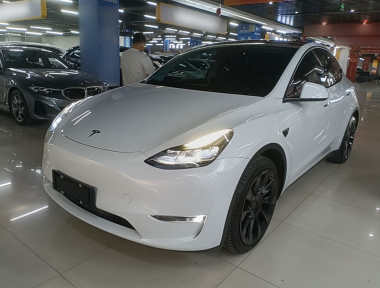 Tesla Model Y 2021 Tesla Model Y 2021 car image