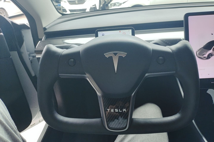 Tesla Model 3 2020 car image #11