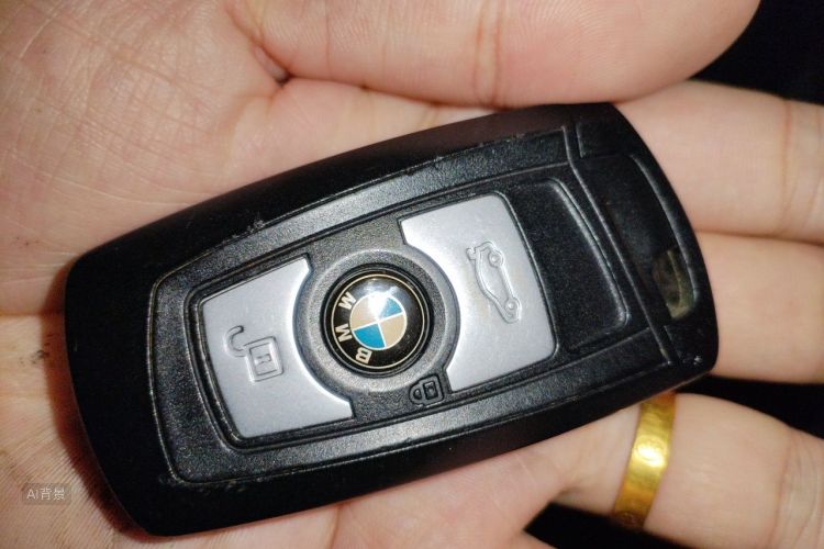 BMW 3 Series 2017 car image #10