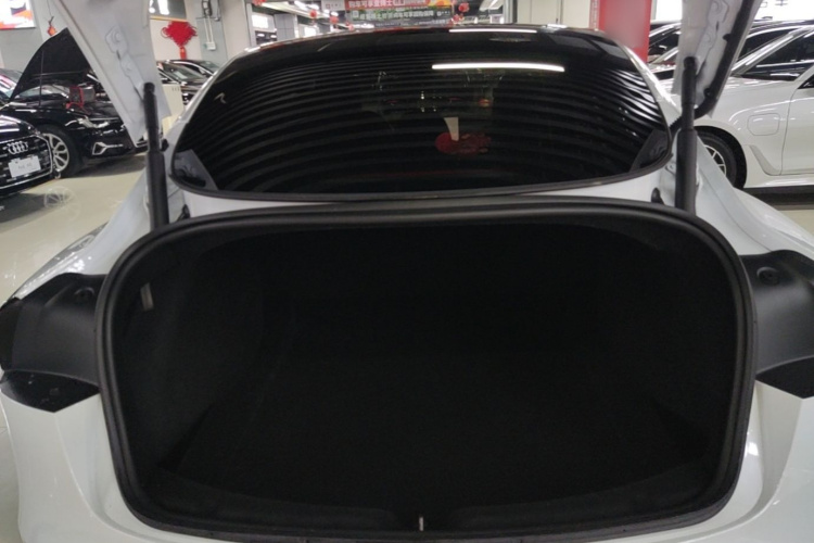 Tesla Model 3 2025 #21 Tesla Model 3 2025 car image #21