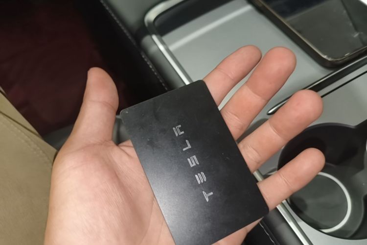Tesla Model 3 2023 #10 Tesla Model 3 2023 car image #10