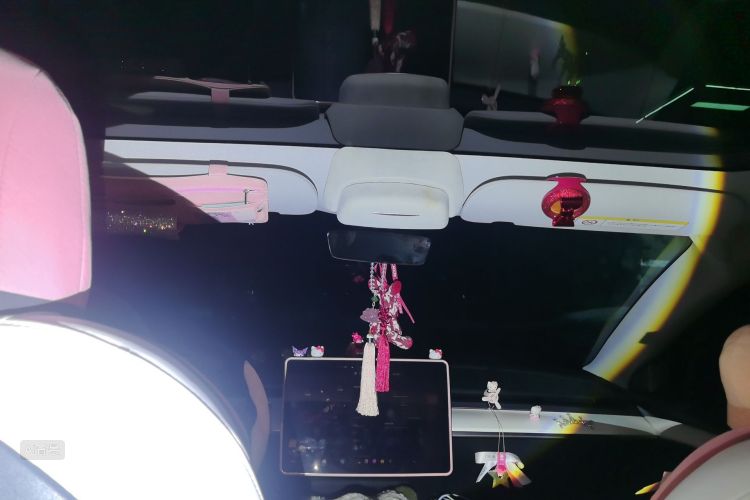 Tesla Model 3 2022 car image #20