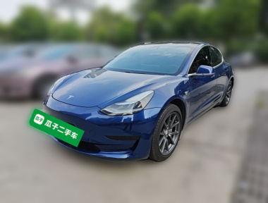 Tesla Model 3 2020 Tesla Model 3 2020 immagine di auto