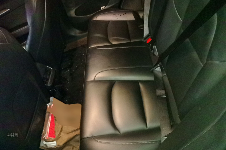 Tesla Model 3 2021 #19 Tesla Model 3 2021 car image #19