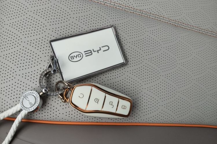 BYD Yuan Plus 2024 immagine di auto #9