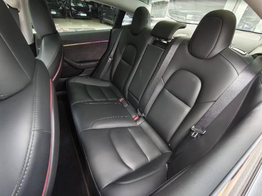 Tesla Model 3 2021 car image #8