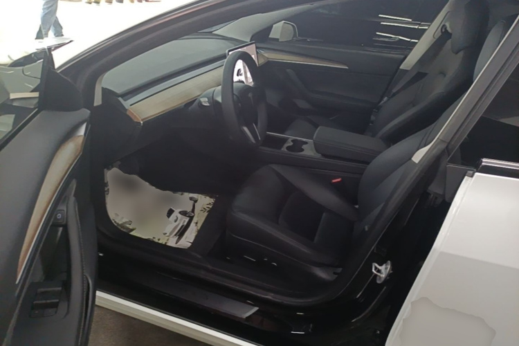 Tesla Model 3 2021 car image #15