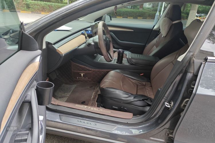 Tesla Model 3 2022 car image #18
