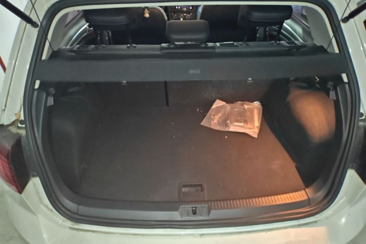 Volkswagen Golf 2019 #19 Volkswagen Golf 2019 car image #19