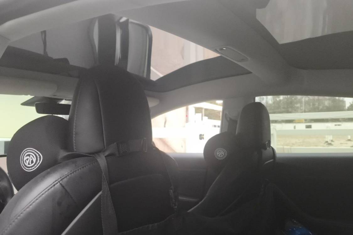 Tesla Model 3 2020 #20 Tesla Model 3 2020 immagine di auto #20