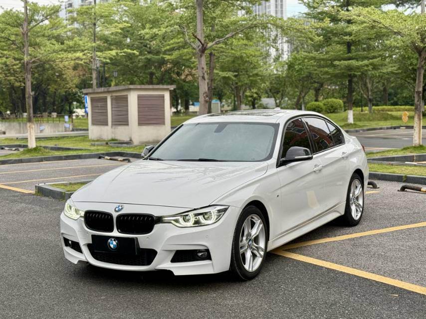 BMW 3 Series 2018 car image 
