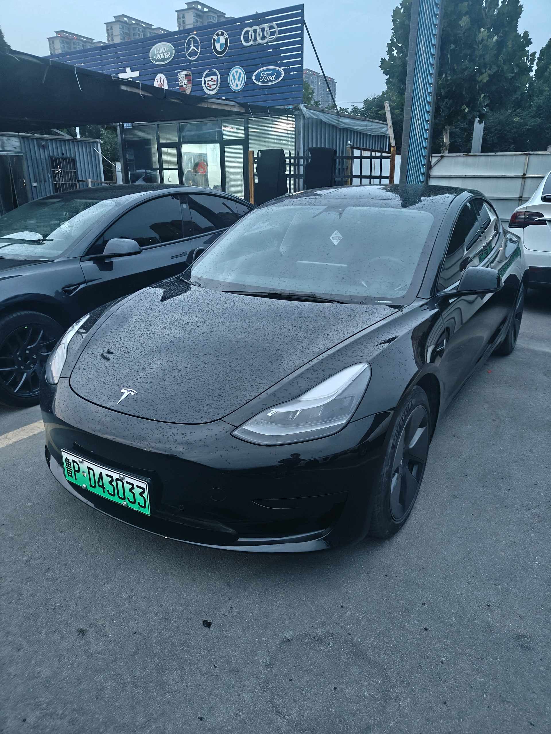 Tesla Model 3 2021 Tesla Model 3 2021 car image