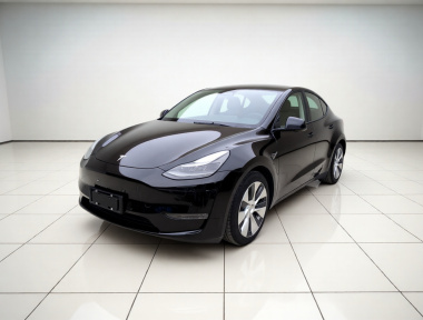Tesla Model Y 2021 car image 