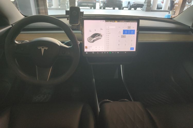 Tesla Model 3 2020 car image #10