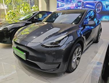 Tesla Model Y 2022 Tesla Model Y 2022 car image