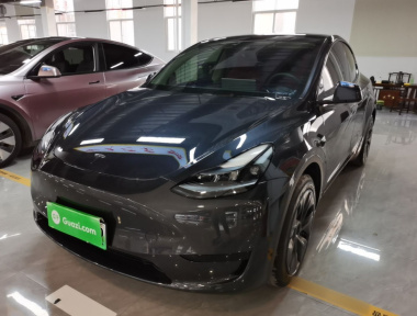 Tesla Model Y 2024 Tesla Model Y 2024 car image