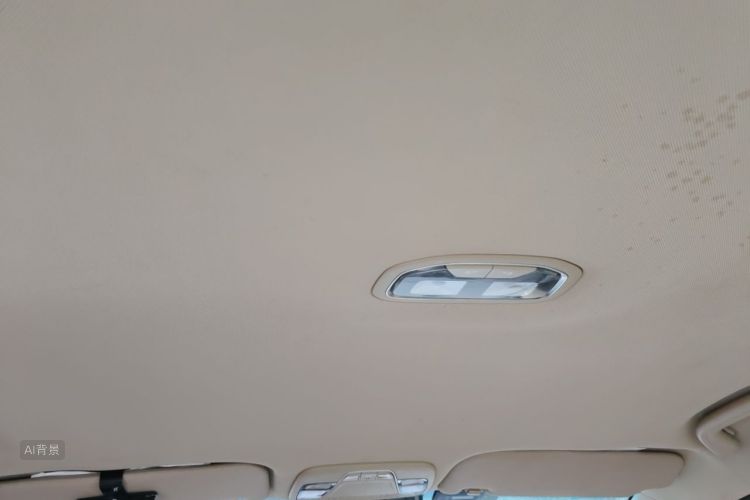 GEELY Emgrand 2018 car image #20